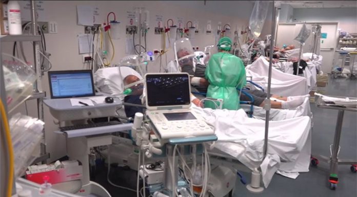 Surgeon From Crete: How To Fight the Virus War (Greek & English)
