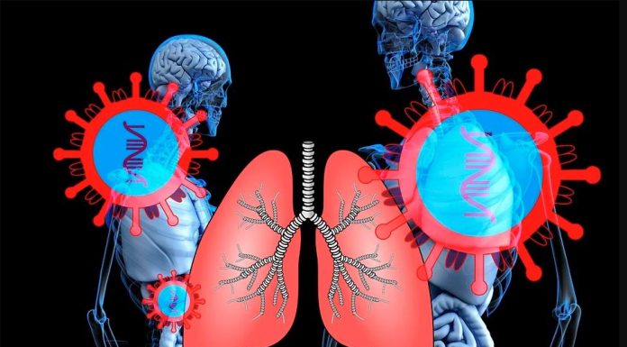 Serious Effects After Recovery from Covid-19 on the Lungs and Testicles(?)