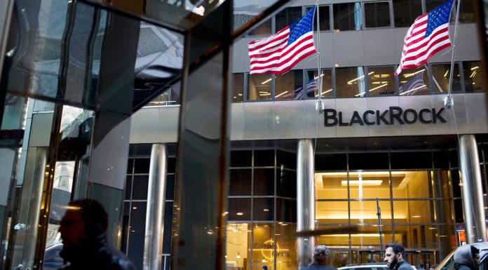 The Enormous Power Of Blackrock: Handling Assets Worth Over $30 Trillion!…