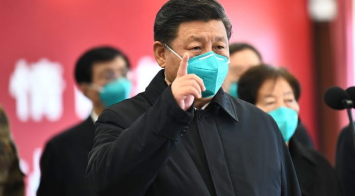 Who Is Responsible For the Pandemic? (video)