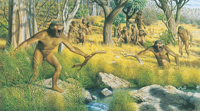 Seven Million-Year-Old Footprints in Crete Change History of Human Evolution!