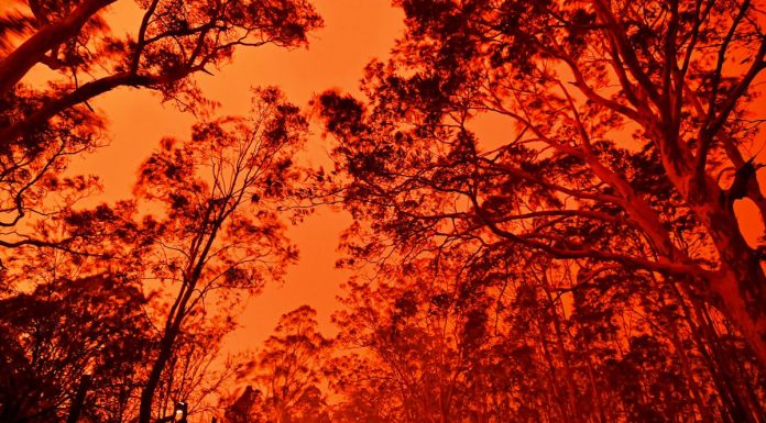 Climate Change Is No Catastrophe