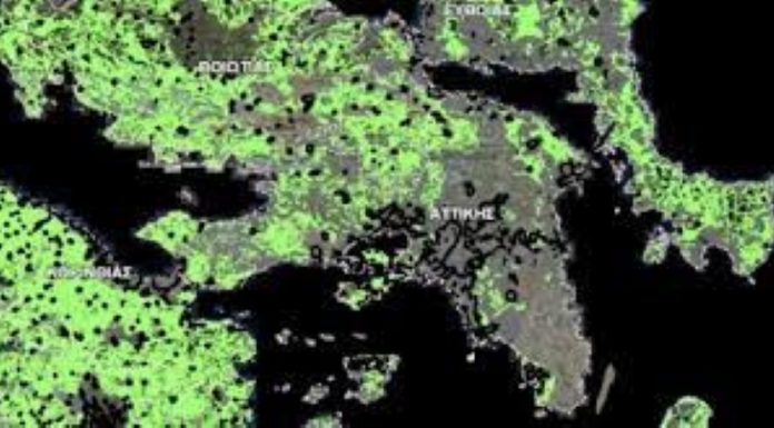 Οι Δασικοί χάρτες οδεύουν προς ολοκλήρωση του ενός τρομερού λάθους;