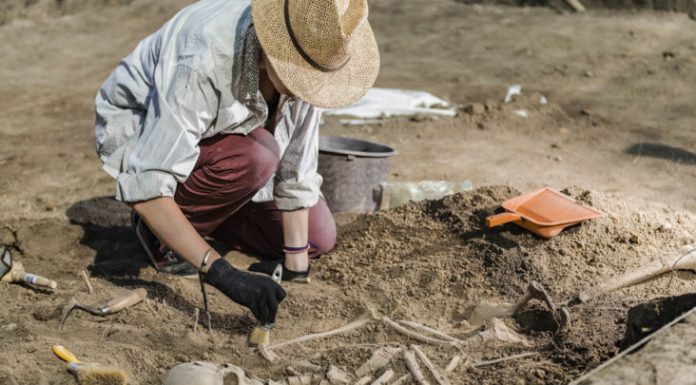 Unbelievable! Scientists Urged To De-gender Human Remains