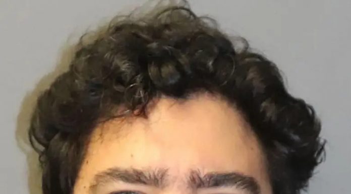 Peter Zisopoulos, A Mentally ill Astoria Resident, Charged After Gruesome Stabbing Murder