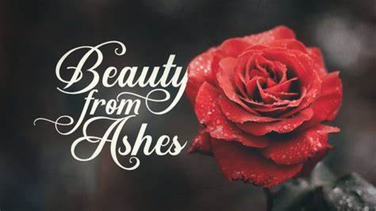 beauty from the ashes