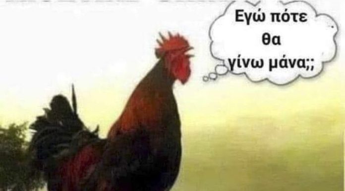 Same-Sex Marriage …Laughter In Greek!…