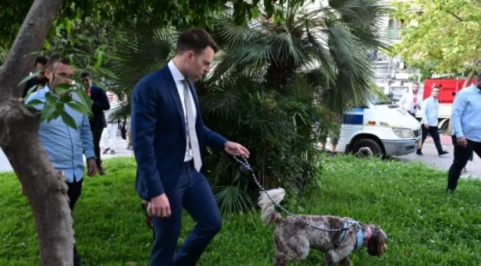In Greece, the “Journalists” Follow Kasselakis’s Dog …Relieving Itself!