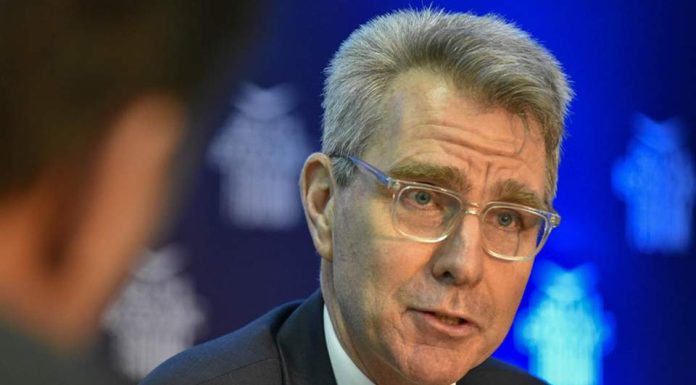 Delusional Geoffrey Pyatt Promotes American LNG To Europe, Defying Free Market Principles…