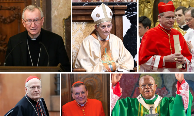 Leading Contenders To Succeed Pope Francis