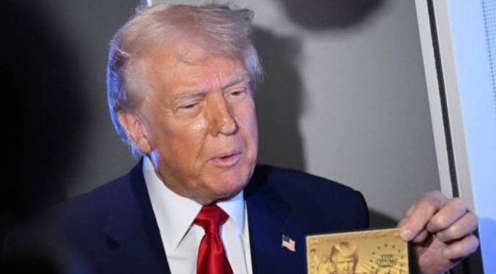 A Novel Idea: The $5 Million Gold Card