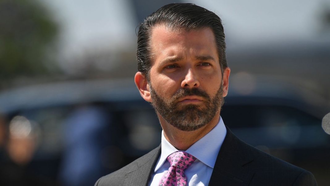 190814185057-donald-trump-junior-july-12